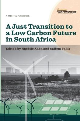 A Just Transition To A Low Carbon Future In South Africa