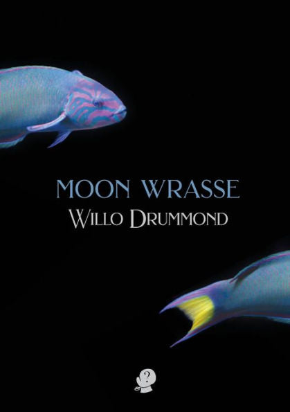 Moon Wrasse - 9781922571670