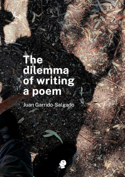 The Dilemma Of Writing A Poem - 9781922571724
