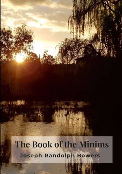 The Book Of The Minims: Way Of Life And Constitutions Of The Eremitas Familia Minima