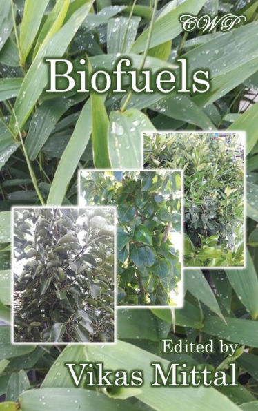 Biocombustibles (Energía y Medio Ambiente)