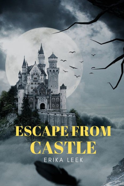 Escape From Castle