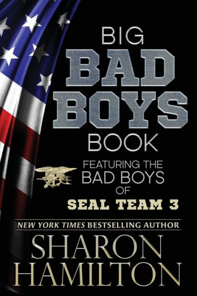 Big Bad Boys Book: Bad Boys of SEAL Team 3, Books 1-3