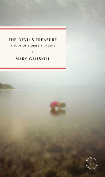 The Devil's Treasure (Mcnally Editions, 20) - 9781946022820