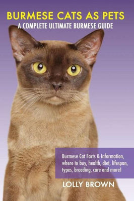 Burmese Cats as Pets: Burmese Cat Facts & Information, where to buy, health, diet, lifespan, types, breeding, care and more! A Complete Ultimate Burmese Guide