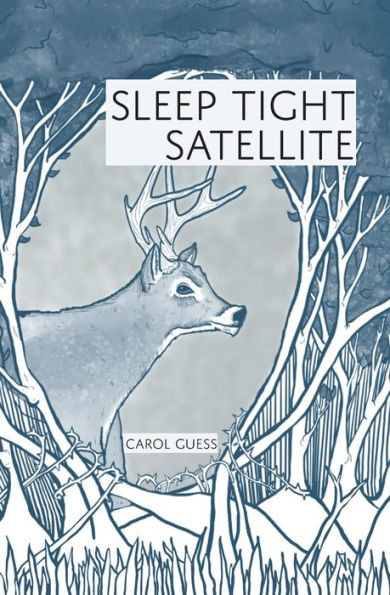 Satélite para dormir bien: Historias - 9781946482907