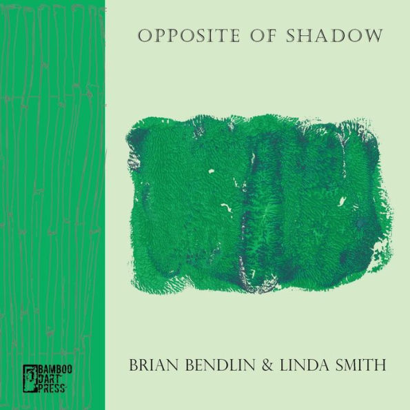 Opposite Of Shadow - 9781947240865
