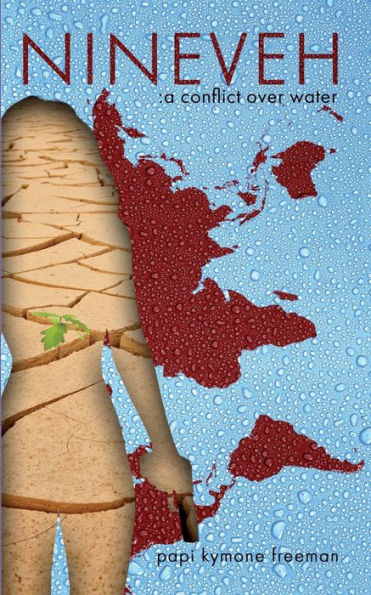 Nineveh: A Conflict Over Water - 9781947492615