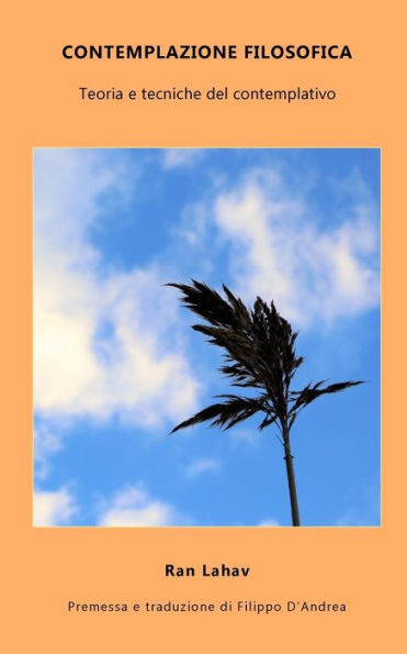 Contemplazione Filosofica: Teoria e tecniche del contemplativo (Italian Edition)