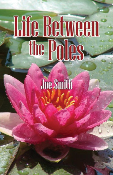 Life Between The Poles - 9781947589735