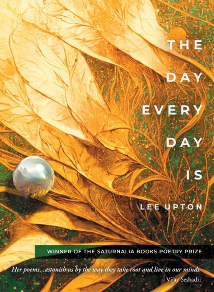 The Day Every Day Is - 9781947817500