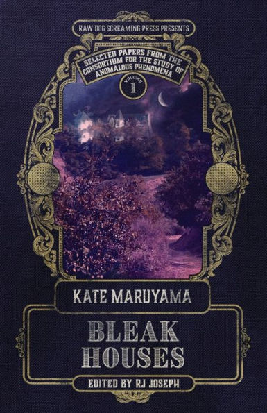 Bleak Houses: Safer & Family Solstice (Selected Papers From The Consortium For The Study Of Anomalous Phenomena) - 9781947879591