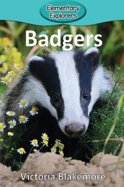 Badgers (82) (Elementary Explorers)