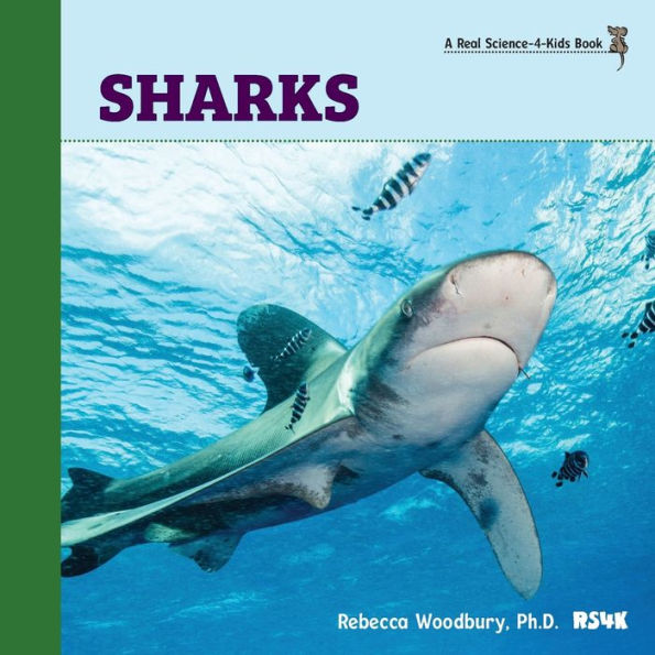 Sharks - 9781950415687