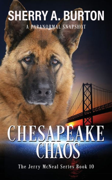 Caos de Chesapeake: Libro 10 de la serie de Jerry McNeal (Una instantánea paranormal)
