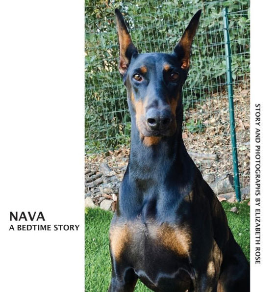 Nava: A Bedtime Story - 9781952103483