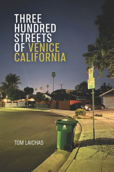 Three Hundred Streets Of Venice California - 9781952593444