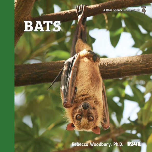 Bats - 9781953542311