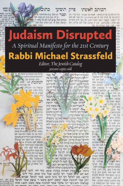Judaism Disrupted: A Spiritual Manifesto For The 21St Century - 9781953829375