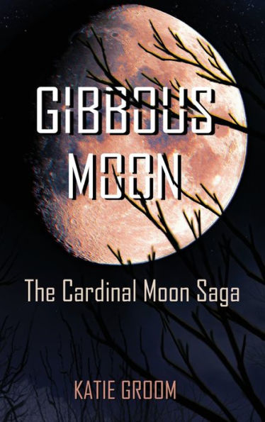 Gibbous Moon - 9781953971890