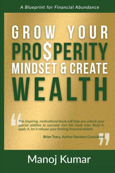 Grow Your Prosperity Mindset And Create Wealth: A Blueprint For Financial Abundance - 9781955272353