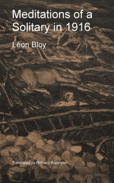 Meditations Of A Solitary In 1916 - 9781955392389