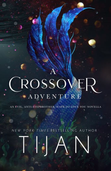 A Crossover Adventure: An Evil, Anti-Stepbrother, Hate To Love You Novella - 9781955873048
