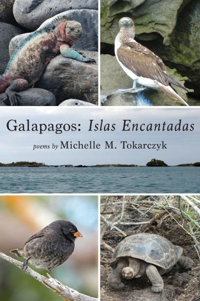 Galapagos: Islas Encantadas - 9781956056709