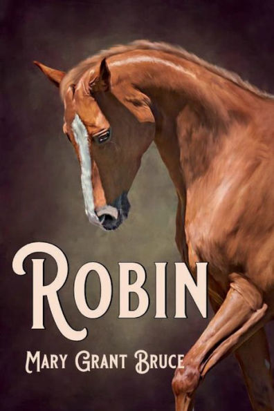 Robin: (Illustrated) - 9781956101843