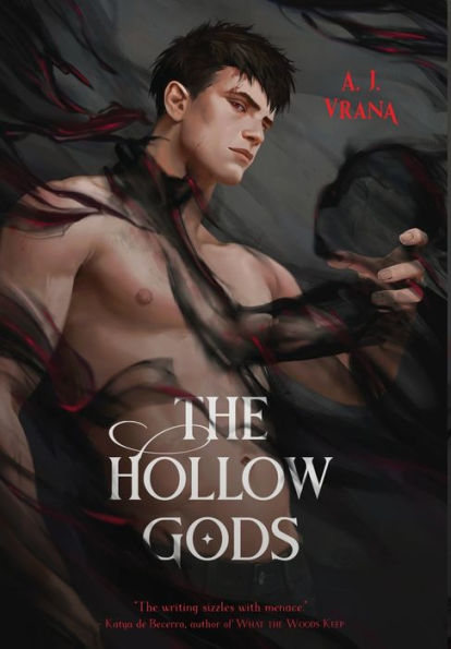 The Hollow Gods (The Chaos Cycle) - 9781956136562