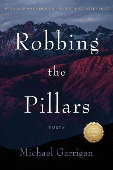 Robbing The Pillars - 9781956368680