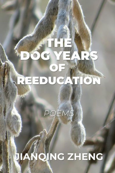 The Dog Years Of Reeducation: Poems - 9781956440393