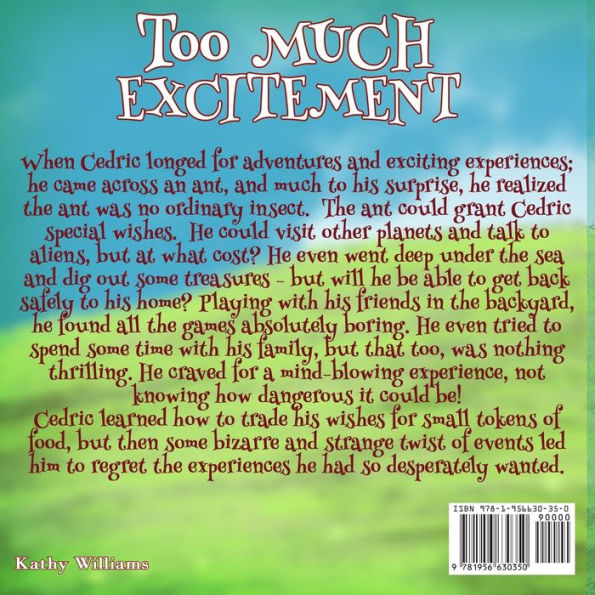 Too Much Excitement - 9781956630350