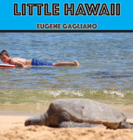 Little Hawaii - 9781956881257