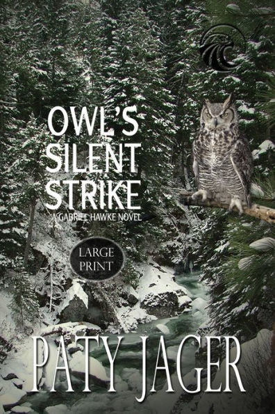 Owl's Silent Strike Lp - 9781957638201