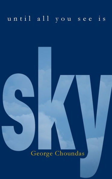 Until All You See Is Sky - 9781958094044