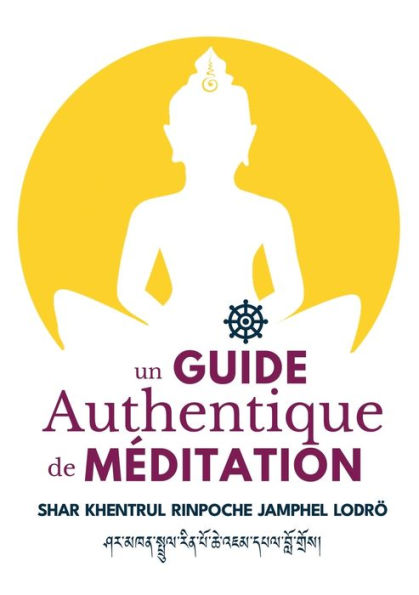 Un Guide Authentique De Meditation (French Edition) - 9781958229187