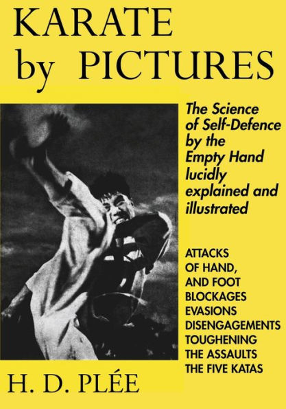 Karate By Pictures