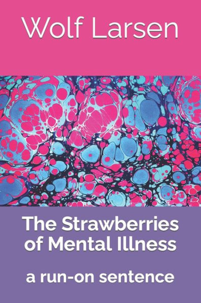 The Strawberries Of Mental Illness: A Run-On Sentence - 9781959256113