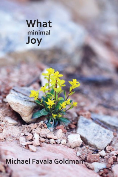 What Minimal Joy! - 9781959556558