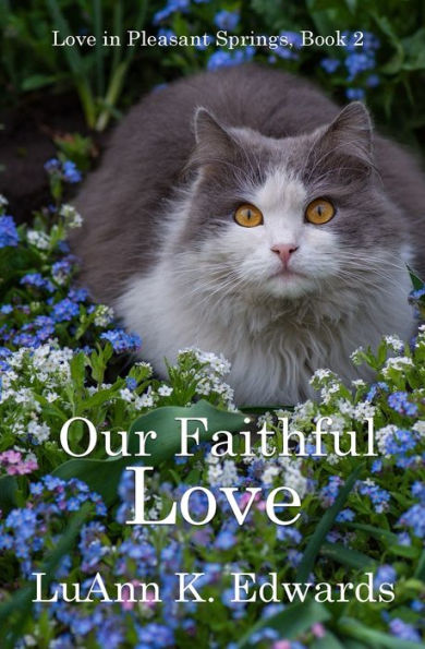 Our Faithful Love (Love In Pleasant Springs) - 9781959788409