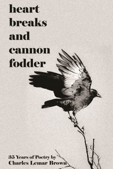 Heart Breaks And Cannon Fodder - 9781960010193