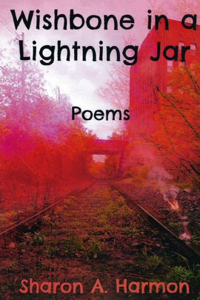 Wishbone In A Lightning Jar: Poems - 9781960038043