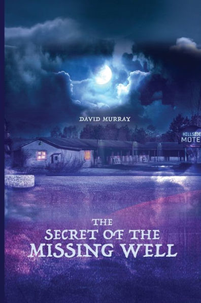 The Secret Of The Missing Well - 9781960144317