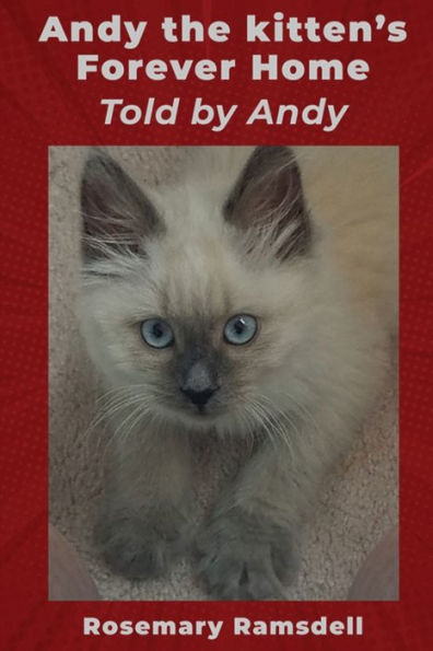 Andy The Kitten's Forever Home Told By Andy - 9781960147561