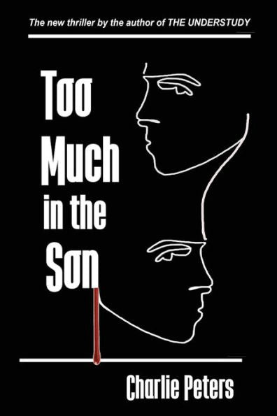Too Much In The Son - 9781960415042