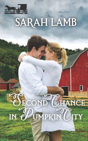 Second Chance In Pumpkin City - 9781960418029