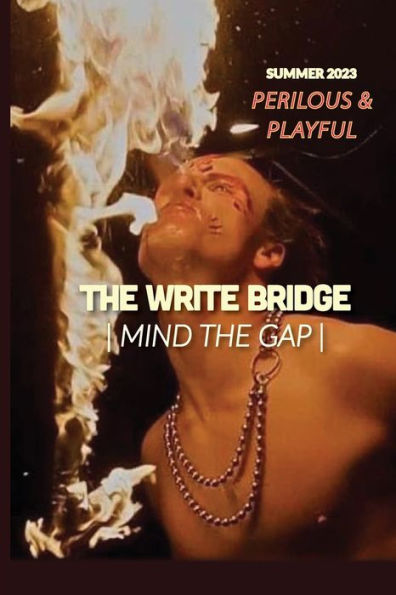 Perilous And Playful (The Write Bridge Journal) - 9781960462206