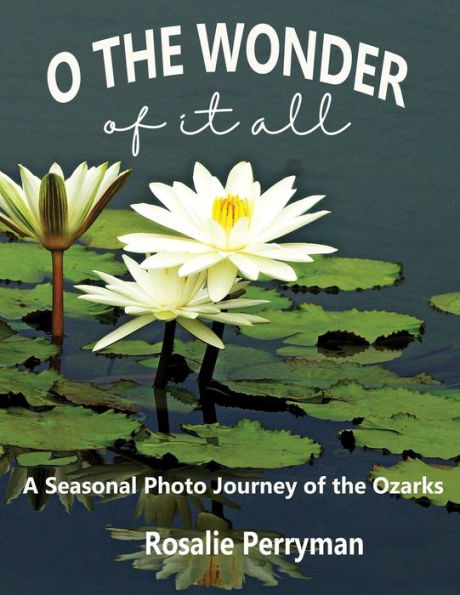 O The Wonder Of It All: A Seasonal Photo Journey Of The Ozarks - 9781960499158
