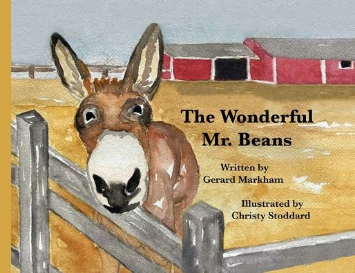 The Wonderful Mr. Beans - 9781960596079